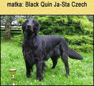 Black Queen Ja-Sta Czech