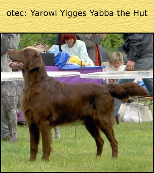 Yarowl Yigges Yabba the Hut